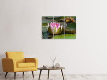 Laden Sie das Bild in den Galerie-Viewer, Leinwandbild 3-teilig XL Seerose in rosa