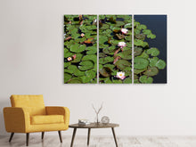 Laden Sie das Bild in den Galerie-Viewer, Leinwandbild 3-teilig Weisse Seerosen im Teich