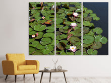 Laden Sie das Bild in den Galerie-Viewer, Leinwandbild 3-teilig Weisse Seerosen im Teich