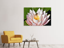 Laden Sie das Bild in den Galerie-Viewer, Leinwandbild 3-teilig Die Biene auf der Seerose