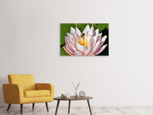 Laden Sie das Bild in den Galerie-Viewer, Leinwandbild 3-teilig Die Biene auf der Seerose