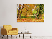 Laden Sie das Bild in den Galerie-Viewer, Leinwandbild 3-teilig Mitten unter Herbstbäumen