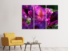 Laden Sie das Bild in den Galerie-Viewer, Leinwandbild 3-teilig Der Rhododendron