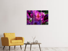 Laden Sie das Bild in den Galerie-Viewer, Leinwandbild 3-teilig Der Rhododendron