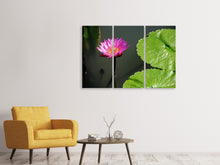 Laden Sie das Bild in den Galerie-Viewer, Leinwandbild 3-teilig Lotus Blüte in pink