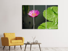 Laden Sie das Bild in den Galerie-Viewer, Leinwandbild 3-teilig Lotus Blüte in pink