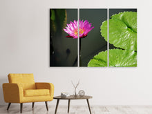 Laden Sie das Bild in den Galerie-Viewer, Leinwandbild 3-teilig Lotus Blüte in pink