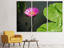 Laden Sie das Bild in den Galerie-Viewer, Leinwandbild 3-teilig Lotus Blüte in pink