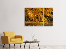 Laden Sie das Bild in den Galerie-Viewer, Leinwandbild 3-teilig Der prächtige Herbstbaum