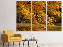 Laden Sie das Bild in den Galerie-Viewer, Leinwandbild 3-teilig Der prächtige Herbstbaum