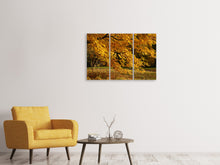 Laden Sie das Bild in den Galerie-Viewer, Leinwandbild 3-teilig Der prächtige Herbstbaum