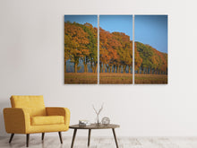 Laden Sie das Bild in den Galerie-Viewer, Leinwandbild 3-teilig Wunderschöner Herbst