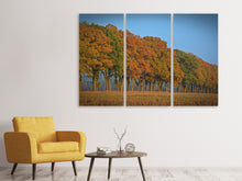 Laden Sie das Bild in den Galerie-Viewer, Leinwandbild 3-teilig Wunderschöner Herbst