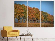 Laden Sie das Bild in den Galerie-Viewer, Leinwandbild 3-teilig Wunderschöner Herbst