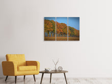Laden Sie das Bild in den Galerie-Viewer, Leinwandbild 3-teilig Wunderschöner Herbst