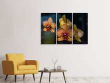 Laden Sie das Bild in den Galerie-Viewer, Leinwandbild 3-teilig Orchidaceae