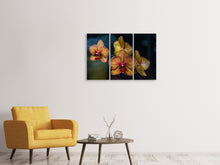 Laden Sie das Bild in den Galerie-Viewer, Leinwandbild 3-teilig Orchidaceae