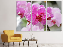 Laden Sie das Bild in den Galerie-Viewer, Leinwandbild 3-teilig Lila Orchideen in der Blüte