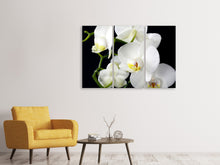 Laden Sie das Bild in den Galerie-Viewer, Leinwandbild 3-teilig Orchidee Close up