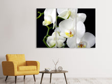 Laden Sie das Bild in den Galerie-Viewer, Leinwandbild 3-teilig Orchidee Close up