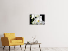 Laden Sie das Bild in den Galerie-Viewer, Leinwandbild 3-teilig Orchidee Close up
