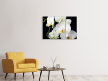 Laden Sie das Bild in den Galerie-Viewer, Leinwandbild 3-teilig Orchidee Close up