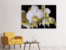 Laden Sie das Bild in den Galerie-Viewer, Leinwandbild 3-teilig Weisse Orchideen in der Blüte