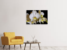 Laden Sie das Bild in den Galerie-Viewer, Leinwandbild 3-teilig Weisse Orchideen in der Blüte