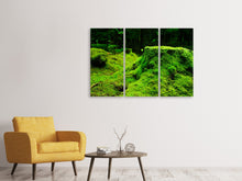 Laden Sie das Bild in den Galerie-Viewer, Leinwandbild 3-teilig Moos im Wald