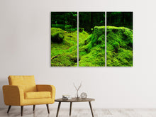 Laden Sie das Bild in den Galerie-Viewer, Leinwandbild 3-teilig Moos im Wald