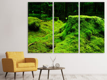 Laden Sie das Bild in den Galerie-Viewer, Leinwandbild 3-teilig Moos im Wald