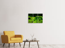 Laden Sie das Bild in den Galerie-Viewer, Leinwandbild 3-teilig Moos im Wald