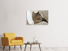 Laden Sie das Bild in den Galerie-Viewer, Leinwandbild 3-teilig Lieblings Katze