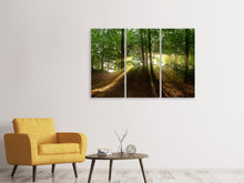 Laden Sie das Bild in den Galerie-Viewer, Leinwandbild 3-teilig Sonne im Wald