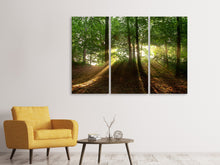 Laden Sie das Bild in den Galerie-Viewer, Leinwandbild 3-teilig Sonne im Wald