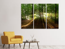 Laden Sie das Bild in den Galerie-Viewer, Leinwandbild 3-teilig Sonne im Wald
