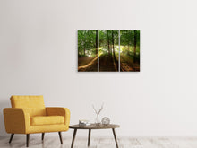 Laden Sie das Bild in den Galerie-Viewer, Leinwandbild 3-teilig Sonne im Wald