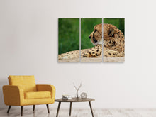 Laden Sie das Bild in den Galerie-Viewer, Leinwandbild 3-teilig XL Gepard