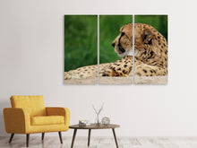 Laden Sie das Bild in den Galerie-Viewer, Leinwandbild 3-teilig XL Gepard