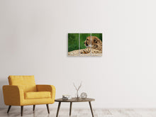 Laden Sie das Bild in den Galerie-Viewer, Leinwandbild 3-teilig XL Gepard