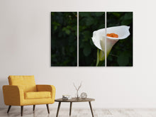Laden Sie das Bild in den Galerie-Viewer, Leinwandbild 3-teilig XL Calla in weiss