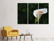 Laden Sie das Bild in den Galerie-Viewer, Leinwandbild 3-teilig XL Calla in weiss