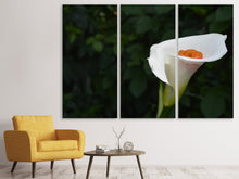 Laden Sie das Bild in den Galerie-Viewer, Leinwandbild 3-teilig XL Calla in weiss