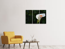 Laden Sie das Bild in den Galerie-Viewer, Leinwandbild 3-teilig XL Calla in weiss