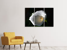 Laden Sie das Bild in den Galerie-Viewer, Leinwandbild 3-teilig Wundervolle Calla