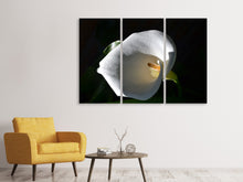 Laden Sie das Bild in den Galerie-Viewer, Leinwandbild 3-teilig Wundervolle Calla