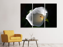 Laden Sie das Bild in den Galerie-Viewer, Leinwandbild 3-teilig Wundervolle Calla