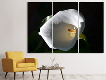 Laden Sie das Bild in den Galerie-Viewer, Leinwandbild 3-teilig Wundervolle Calla