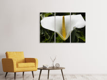 Laden Sie das Bild in den Galerie-Viewer, Leinwandbild 3-teilig Makro Calla in weiss