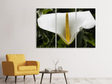 Laden Sie das Bild in den Galerie-Viewer, Leinwandbild 3-teilig Makro Calla in weiss